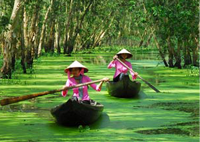 Chèo xuồng ba lá tham quan vườn quốc gia Tràm Chim